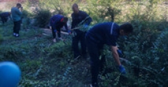 【市城市燃熱集團(tuán)富泰熱力】清理衛(wèi)生死角 清除廠區(qū)蒿草